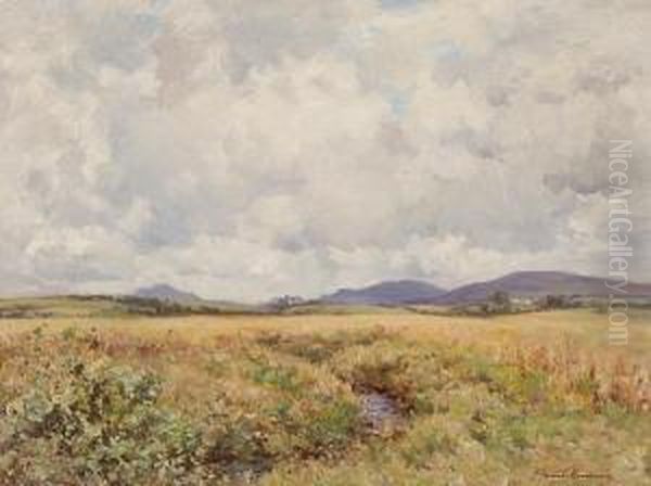 Summer Clouds - view 1