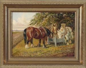 Drei Pferde An Der Futterkrippe