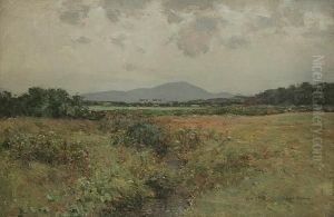 A Summer Meadow