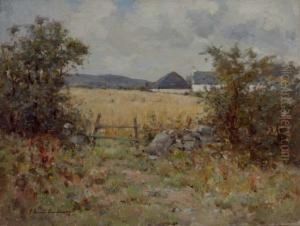 The Hayfield