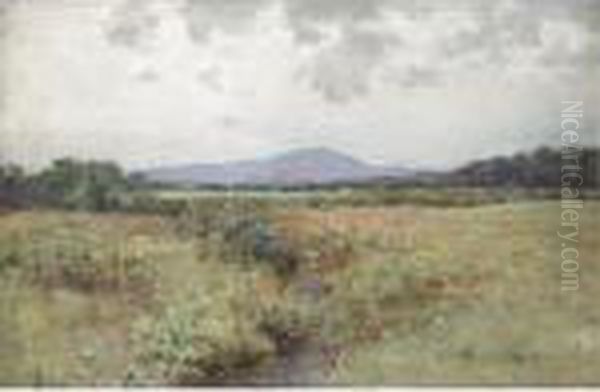 A Summer Pasture - view 1