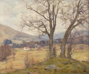 Ayrshire Farm