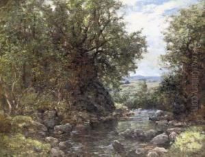 A Shaded Pool