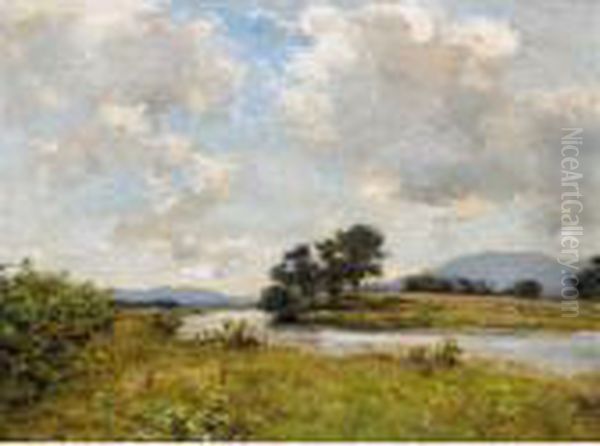 An Ayrshire Burn - view 1