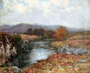 A Galloway Stream