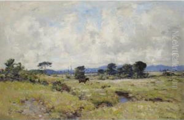 At Benderloch, Argyllshire - view 1