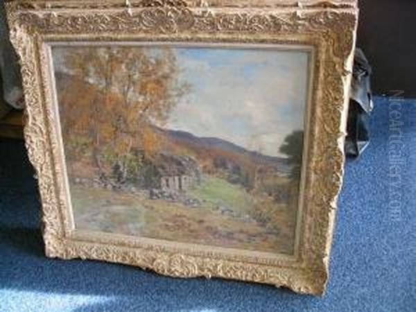 The Tumbledown Croft - view 1