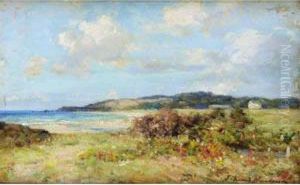 The Coastal Meadow