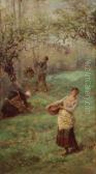 Picking Cider Apples Normandy - view 1