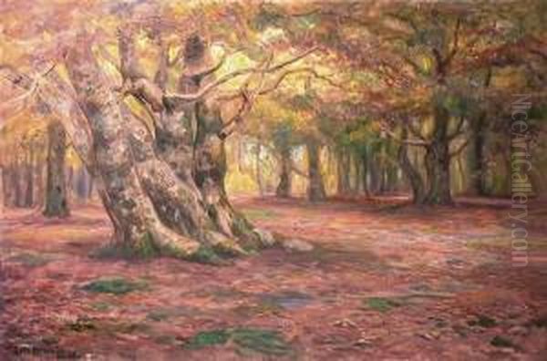 Gammel Bokeskog, Host 1918 1918 - view 1