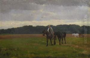 Chevaux Dans Les Champs Chevaux Dans Les Champs