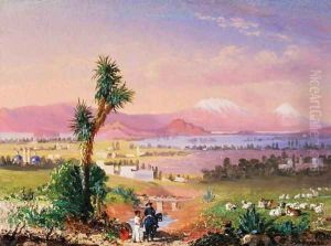 A View of Mexico City, 1878