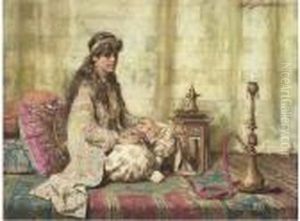 The Hareem Favourite The Hareem Favourite
