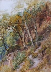 A Wooded Hillside by Frederick Henry Henshaw