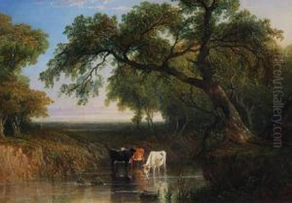 Cattle Watering At A Pool - view 1