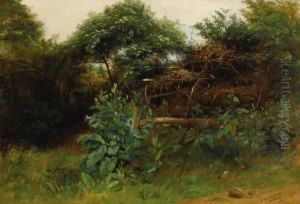 Witton Landscape Witton Landscape