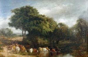 Cattle Watering At A Stream