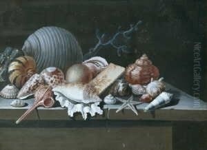 Muschelstilleben. by Herman Henstenburgh