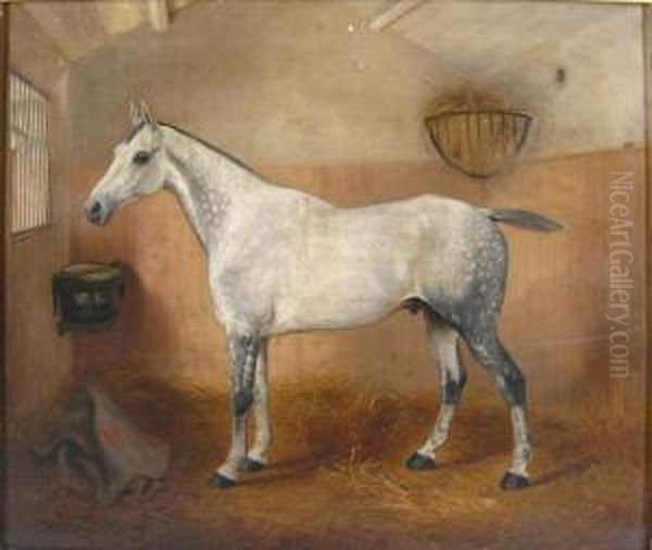 Portrait Of A White Horse In Stable - view 1