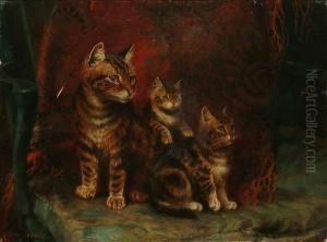 Three Cats by Wilson Hepple