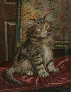 A Kitten by Wilson Hepple