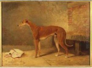 Dodger by Wilson Hepple