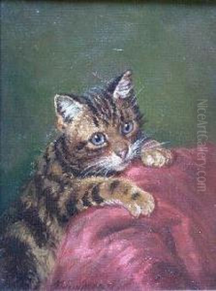 Study Of A Kitten - view 1