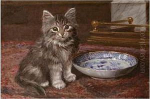 The Kitten's Had The Cream by Wilson Hepple