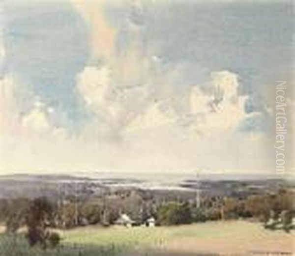 Coastal Landscape, Australia - view 1