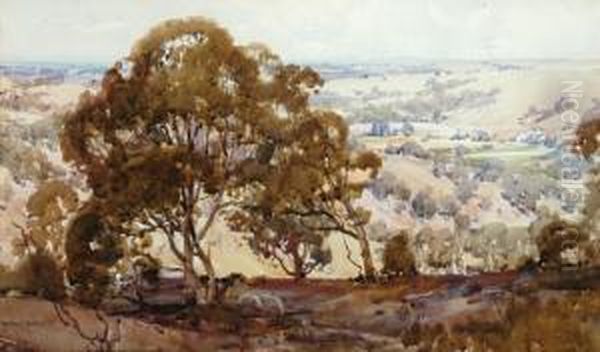 The Valley - view 1