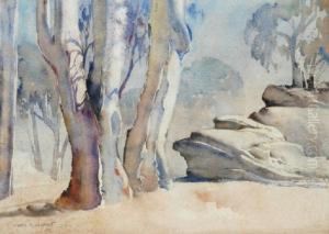 White Gums by Harold Brocklebank Herbert