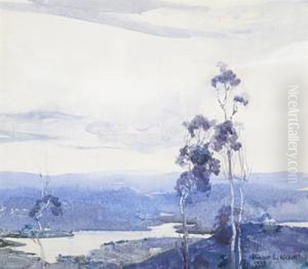 Winter Landscape, Kiewa Valley - view 1