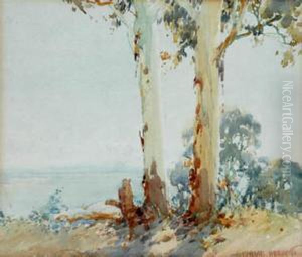 Trees In Landscape - view 1