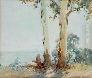 Trees In Landscape by Harold Brocklebank Herbert