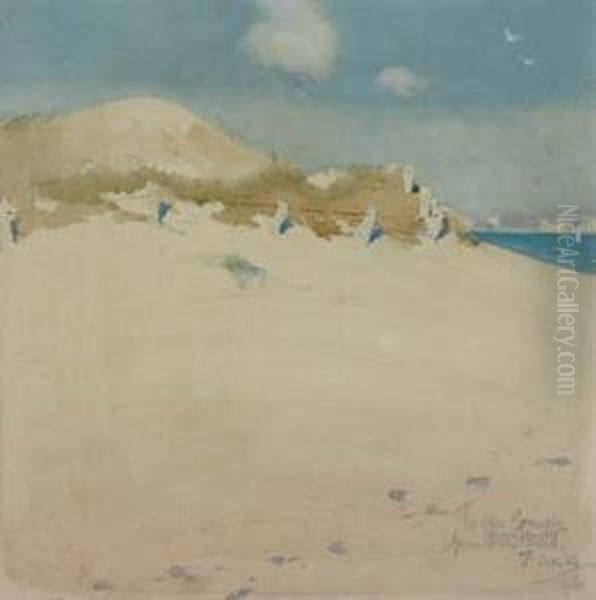 Sand Dunes And Beach Scene - view 1