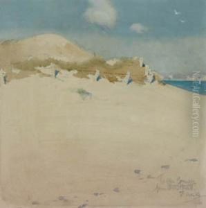 Sand Dunes And Beach Scene Sand Dunes And Beach Scene