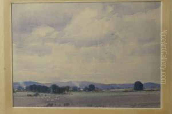 Sheep Country, Victoria - view 1