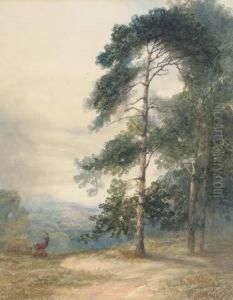 A Stag And His Herd Scenting A Disturbance