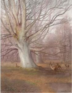 Deer In A Beech Wood by Sydney Herbert