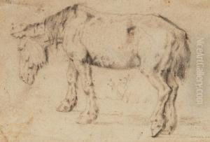 Esel by Thomas Ludwig Herbst