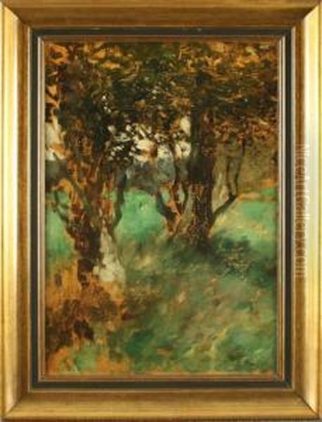 Knorrige Baume In Wiesenlandschaft - view 1