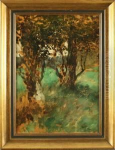 Knorrige Baume In Wiesenlandschaft by Thomas Ludwig Herbst