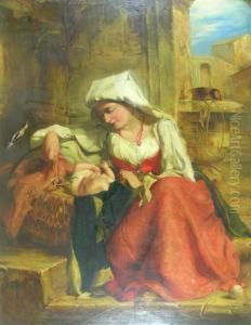 The Cradle