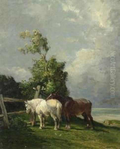 Zwei Pferde Auf Der Weide. - view 1