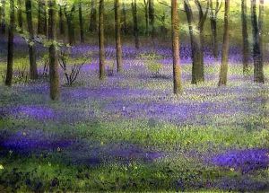 Bluebell Wood by Edward Clifford