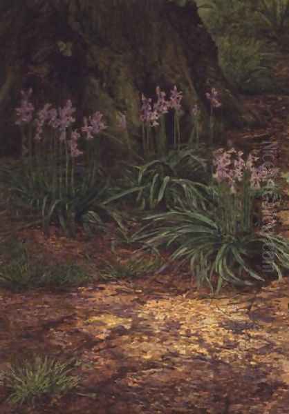 Bluebells - view 1
