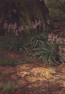 Bluebells by Edward Clifford