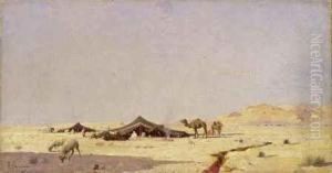 Beduinen In Zelten Mit Kamel Und Schafen