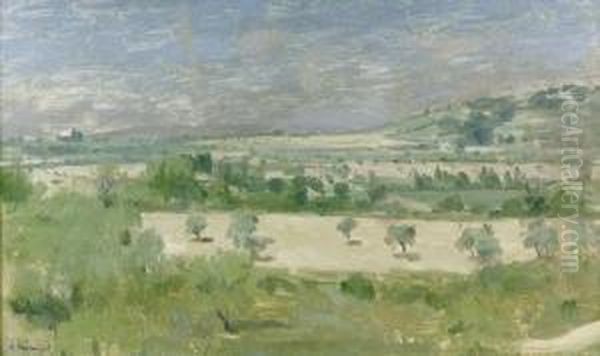 Sommerliche Feldlandschaft. - view 1