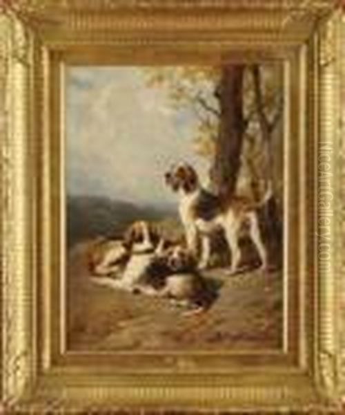 Chien De Chasse Au Repos - view 1